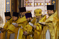 Тут описание фото или заголовок новости