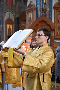 Тут описание фото или заголовок новости