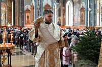 Тут описание фото или заголовок новости