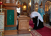 Тут описание фото или заголовок новости