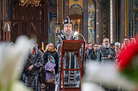 Тут описание фото или заголовок новости