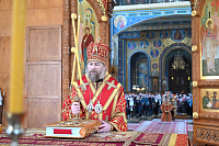 Тут описание фото или заголовок новости