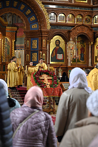 Тут описание фото или заголовок новости
