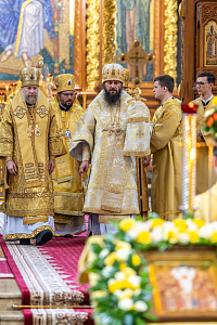 Тут описание фото или заголовок новости