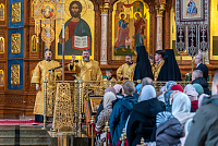 Тут описание фото или заголовок новости