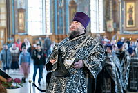 Тут описание фото или заголовок новости