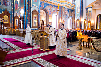 Тут описание фото или заголовок новости
