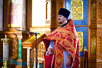 Тут описание фото или заголовок новости