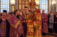 Тут описание фото или заголовок новости