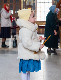 Тут описание фото или заголовок новости