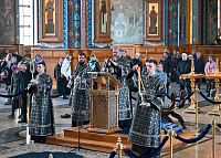 Тут описание фото или заголовок новости