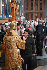 Тут описание фото или заголовок новости