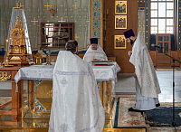 Тут описание фото или заголовок новости