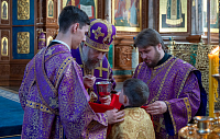 Тут описание фото или заголовок новости
