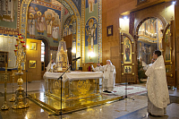 Тут описание фото или заголовок новости