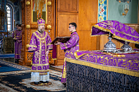 Тут описание фото или заголовок новости