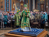 Тут описание фото или заголовок новости