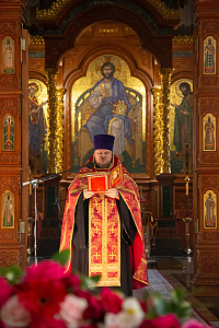 Тут описание фото или заголовок новости