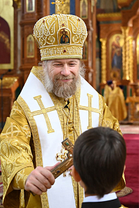 Тут описание фото или заголовок новости