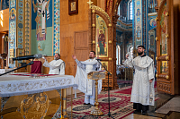 Тут описание фото или заголовок новости