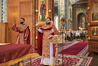 Тут описание фото или заголовок новости