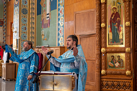 Тут описание фото или заголовок новости