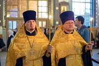 Тут описание фото или заголовок новости