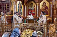 Тут описание фото или заголовок новости