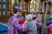 Тут описание фото или заголовок новости