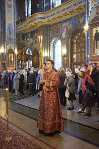 Тут описание фото или заголовок новости