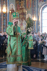 Тут описание фото или заголовок новости