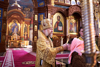 Тут описание фото или заголовок новости