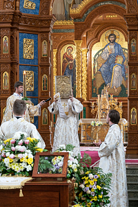 Тут описание фото или заголовок новости