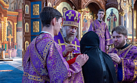Тут описание фото или заголовок новости